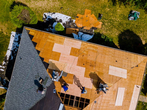 Best Roof Gutter Cleaning  in Breezy Point, MN